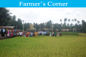 farmer