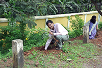 Plants: image 1 0f 4 thumb